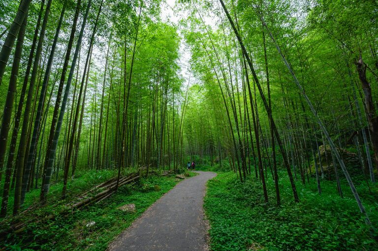 Beginner Tips for Mindful Breathing Breaks to Boost Your Wellbeing